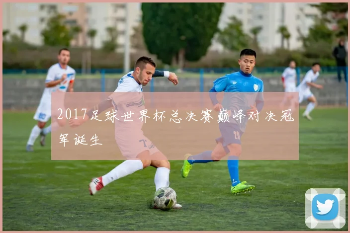 2017足球世界杯总决赛巅峰对决冠军诞生