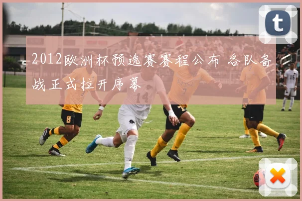 2012欧洲杯预选赛赛程公布 各队备战正式拉开序幕
